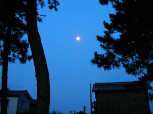 早朝の月